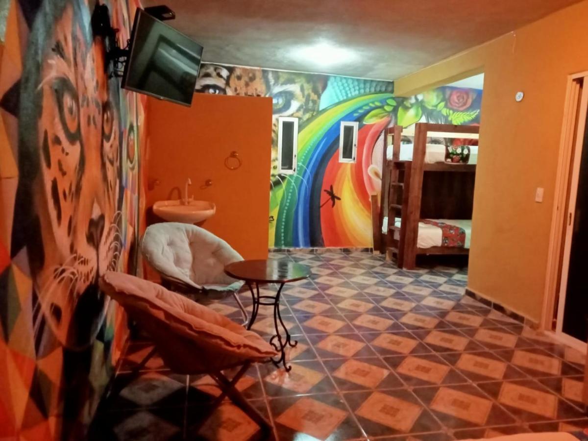 HOTEL HOSTALITO BBMX CANCUN (Mexico) - from C$ 40 | iBOOKED